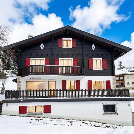 Le Nid D'argent - Dans La Nature *