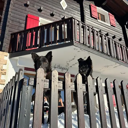 Le Nid D'argent - Dans La Nature Alpstuga *