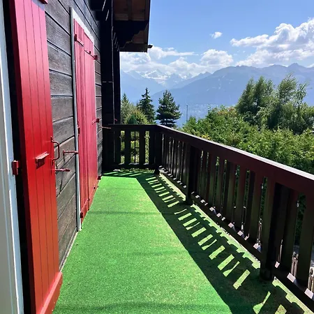 Le Nid D'argent - Dans La Nature