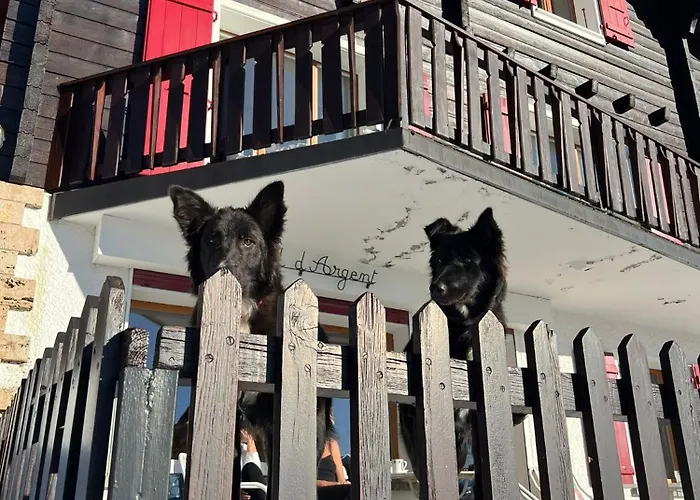 Le Nid D'argent - Dans La Nature Σαλέ *