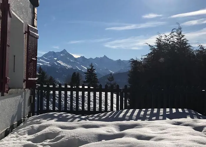 Le Nid D'argent - Dans La Nature
