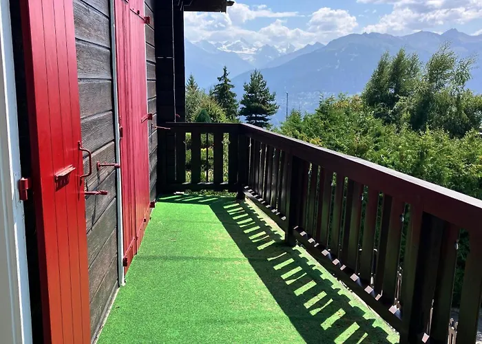 Le Nid D'argent - Dans La Nature