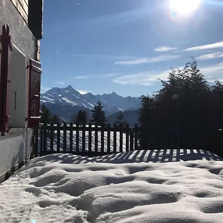 Le Nid D'argent - Dans La Nature